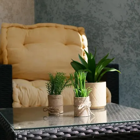 Capstay Avec Grande Terrasse Proche Aeroport Bastia - - Centre شقة *