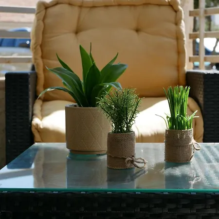 شقة Capstay Avec Grande Terrasse Proche Aeroport Bastia - - Centre *