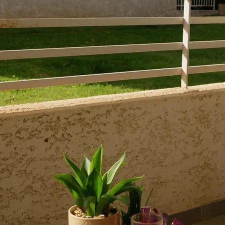 Capstay Avec Grande Terrasse Proche Aeroport Bastia - - Centre لوسيانا