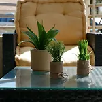 公寓 Capstay Avec Grande Terrasse Proche Aeroport Bastia - - Centre *