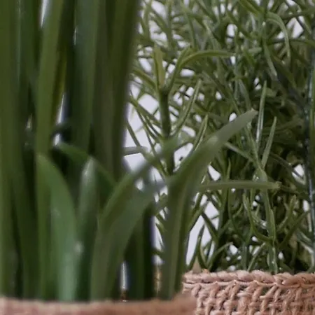 Capstay Avec Grande Terrasse Proche Aéroport Bastia - - Centre Apartamento