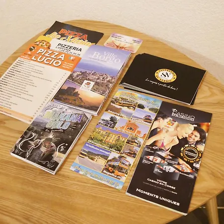 Daire Capstay Avec Grande Terrasse Proche Aeroport Bastia - - Centre *