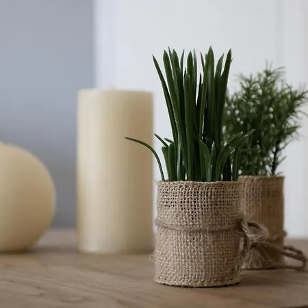 Capstay Avec Grande Terrasse Proche Aéroport Bastia - - Centre