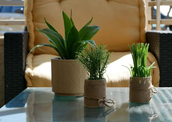 Apartamento Capstay Avec Grande Terrasse Proche Aeroport Bastia - - Centre *