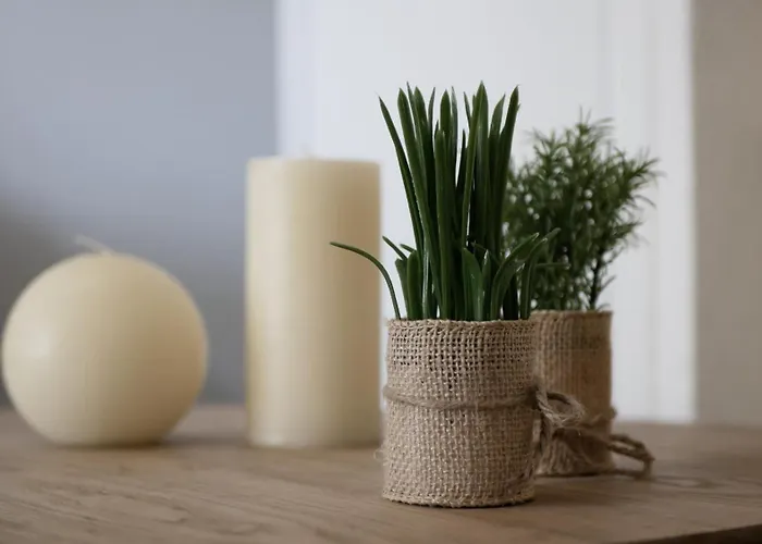 Capstay Avec Grande Terrasse Proche Aeroport Bastia - - Centre