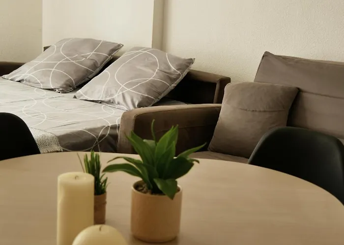 Capstay Avec Grande Terrasse Proche Aeroport Bastia - - Centre Appartement