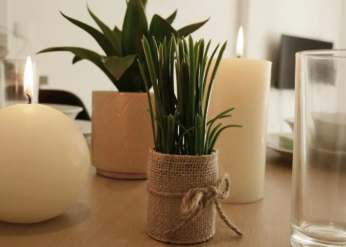 Daire Capstay Avec Grande Terrasse Proche Aeroport Bastia - - Centre